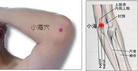 小海穴→治貧血、頭痛