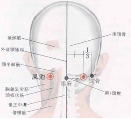 風(fēng)府穴→治頭面、五官疾病