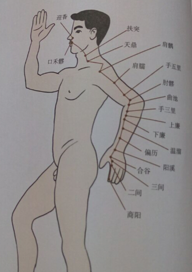 手陽明大腸經(jīng)撥罐線路