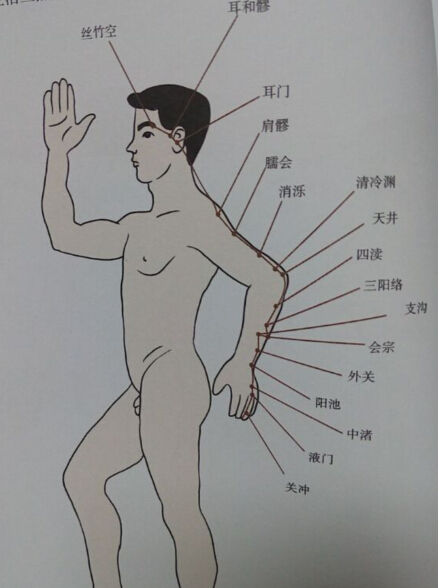 手少陽三焦經拔罐線路