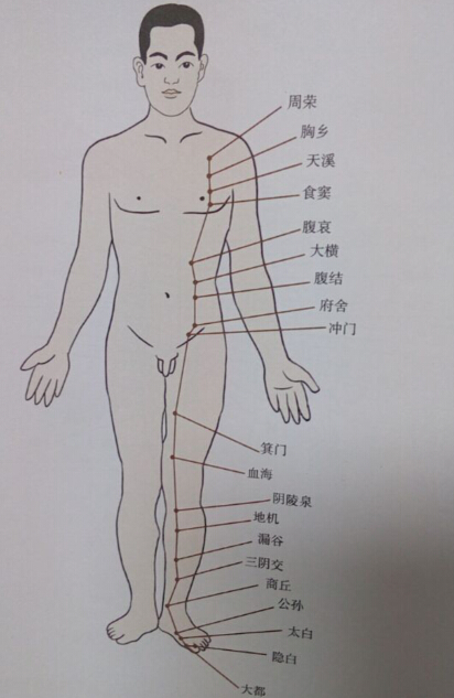 足太陰脾經拔罐線路