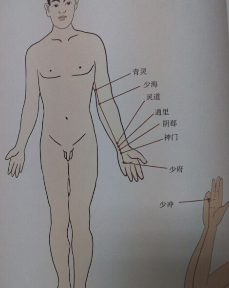 手少陰心經拔罐線路