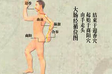 刮痧刮大腸經(jīng)，可以清理腸道、排出宿便