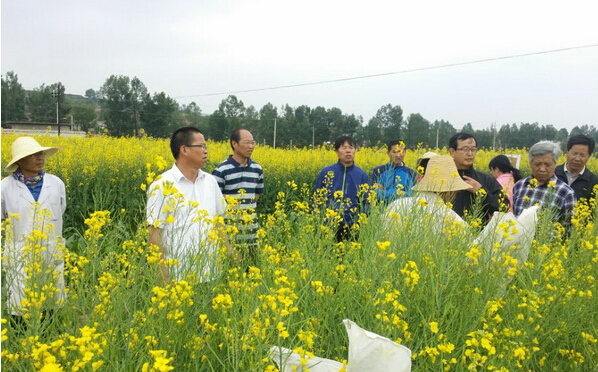 中國中醫(yī)科學院研發(fā)實驗服務基地建設項目獲驗收