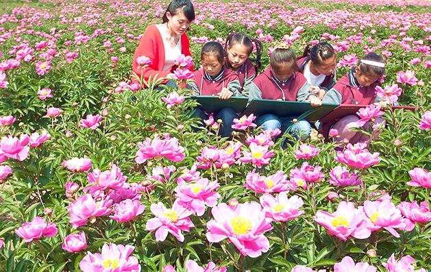 江蘇省東海縣李埝鄉(xiāng)中心小學學生參觀中藥材種植基地