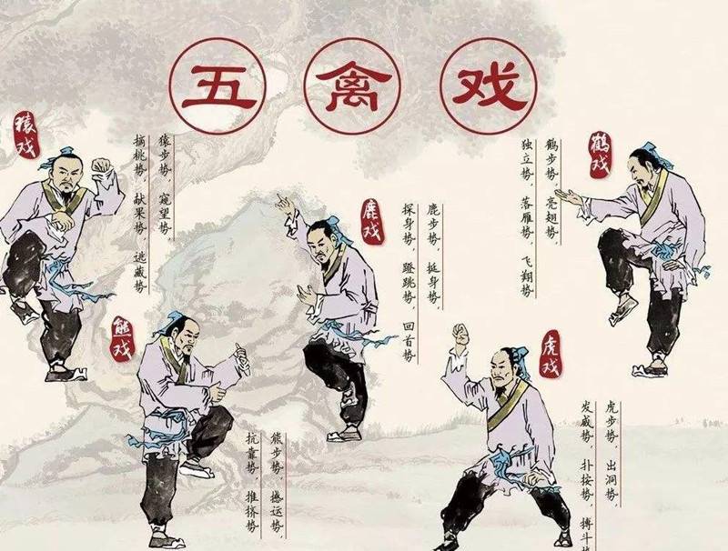 華佗，外科鼻祖，發(fā)明麻沸散、五禽戲