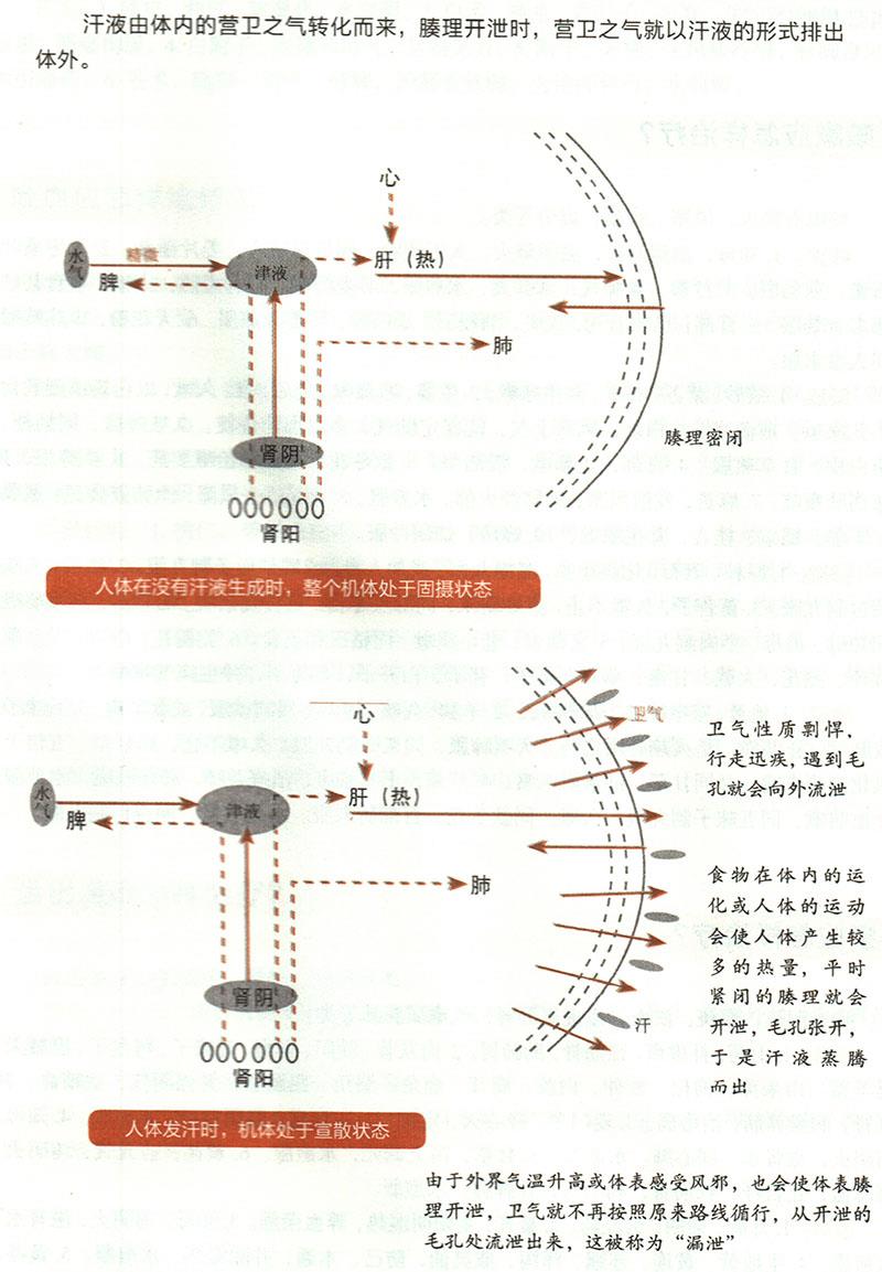 諸汗應(yīng)怎樣治療？