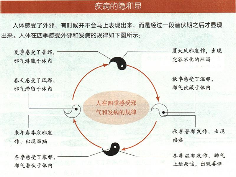 為什么要順應四時陰陽來養(yǎng)生？