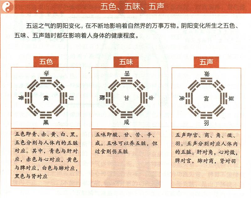 臟腑功能如何在體表上顯現(xiàn)？