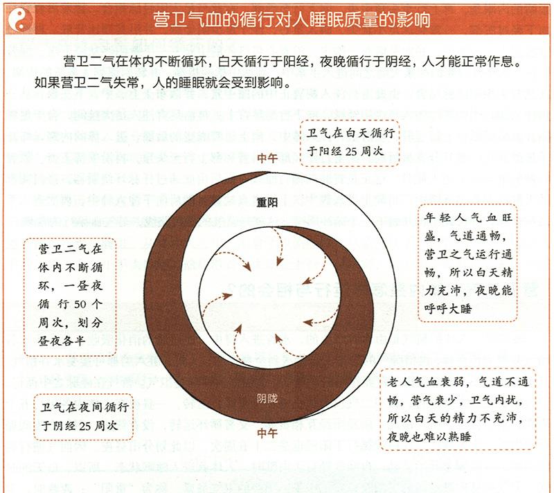 營衛(wèi)二氣在體內(nèi)是怎樣運行與相會的？