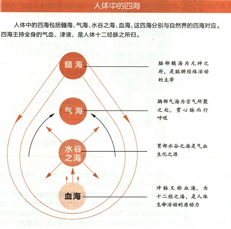 人體中的四海是怎樣的？