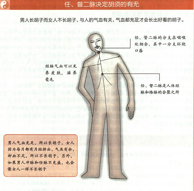 氣血對毛發(fā)有怎樣的影響？