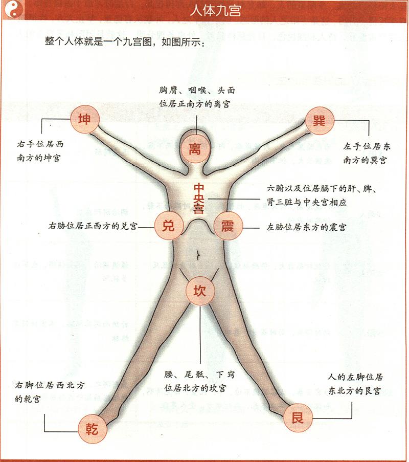 人體各部與九野是怎樣對應的？