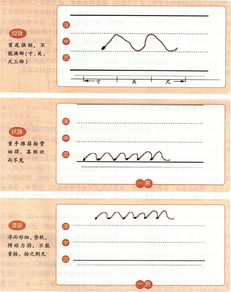 緩、急、小、大、滑、澀六種脈象所對應的病狀情形是怎樣的？