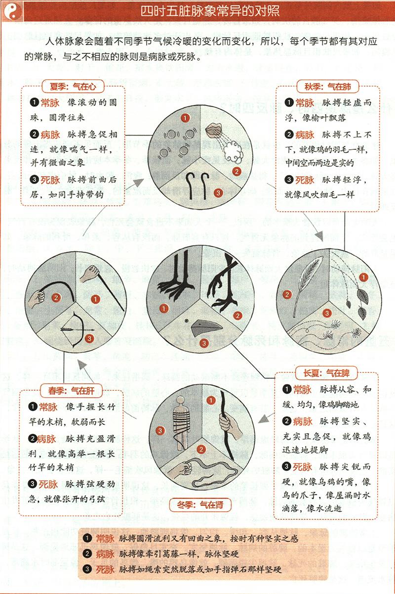 五臟的常脈、病脈和死脈分別是什么？