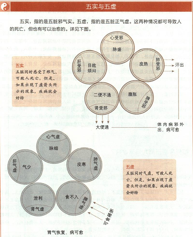 什么是五實五虛？