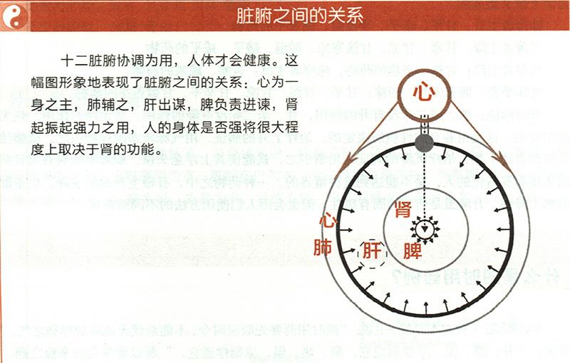 什么是五臟五味補瀉？