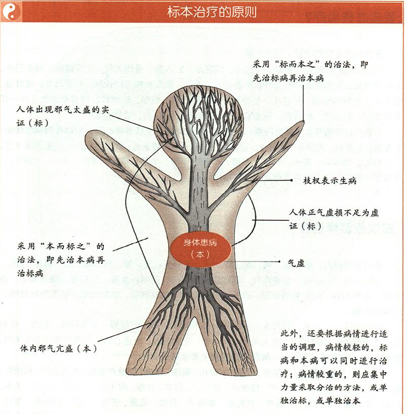 什么是標本陰陽？