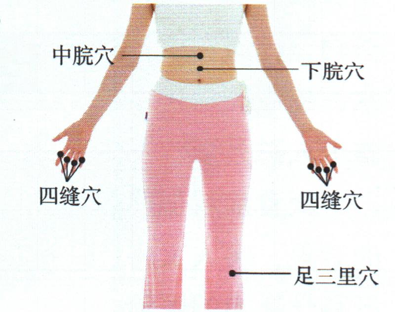 按摩足三里穴、四縫穴、中脘穴，促進(jìn)吸收增點(diǎn)肉